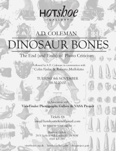 Hotshoe Gallery, London, poster for A. D. Coleman lecture, November 8, 2011.